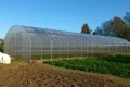 Wydłużona szklarnia Botanic Rolnik 5m PRO
