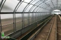 Środek szklarni Botanic Rolnik 5M PRO z grządkami w środku