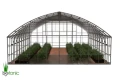 Szklarnia Botanic Rolnik 8M PRO – widok wnętrza