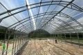 Wnętrze szklarni Botanic Rolnik 8M PRO z konstrukcją łukową i poliwęglanem