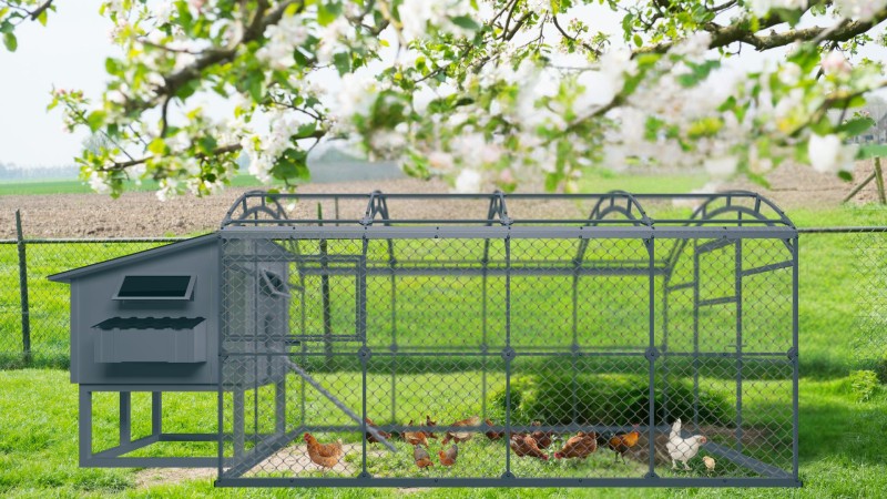 Projekt bez nazwy (7).jpg