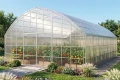 Wygląd szklarni Botanic Rolnik 8M PRO w ogrodzie z grządkami i kwiatami
