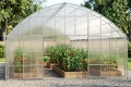 Front szklarni Botanic Rolnik 8M PRO w ogrodzie
