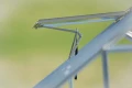 Automatyczny otwieracz do okna, napęd do okna