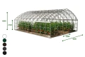 Szklarnia-ogrodowa-Botanic-Rolnik-8m-PRO-z-poliweglanu.webp