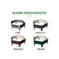 Klomb Sześciokątny